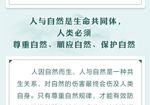 一图读懂习近平总书记关于生态文明建设重要论述